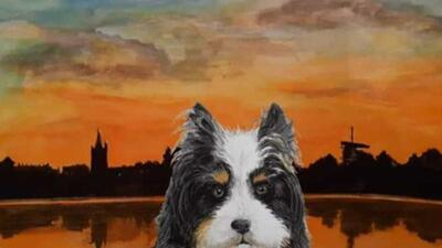 Boek Dapper €12,50