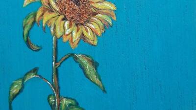 Niet meer beschikbaar