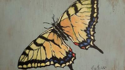 Niet meer beschikbaar